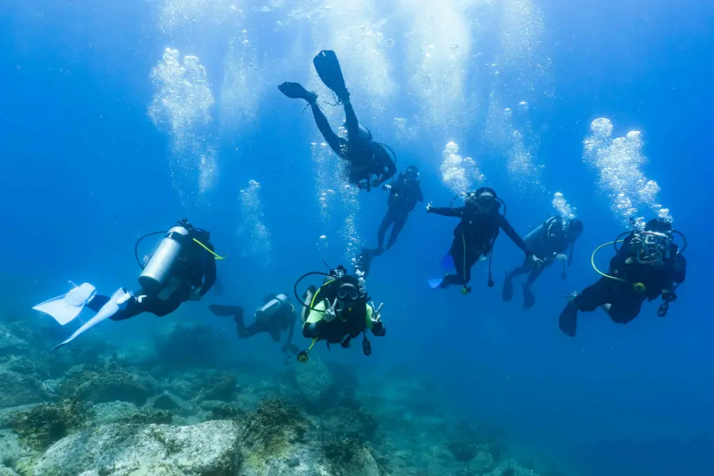 Advanced Adventurer course (AA)