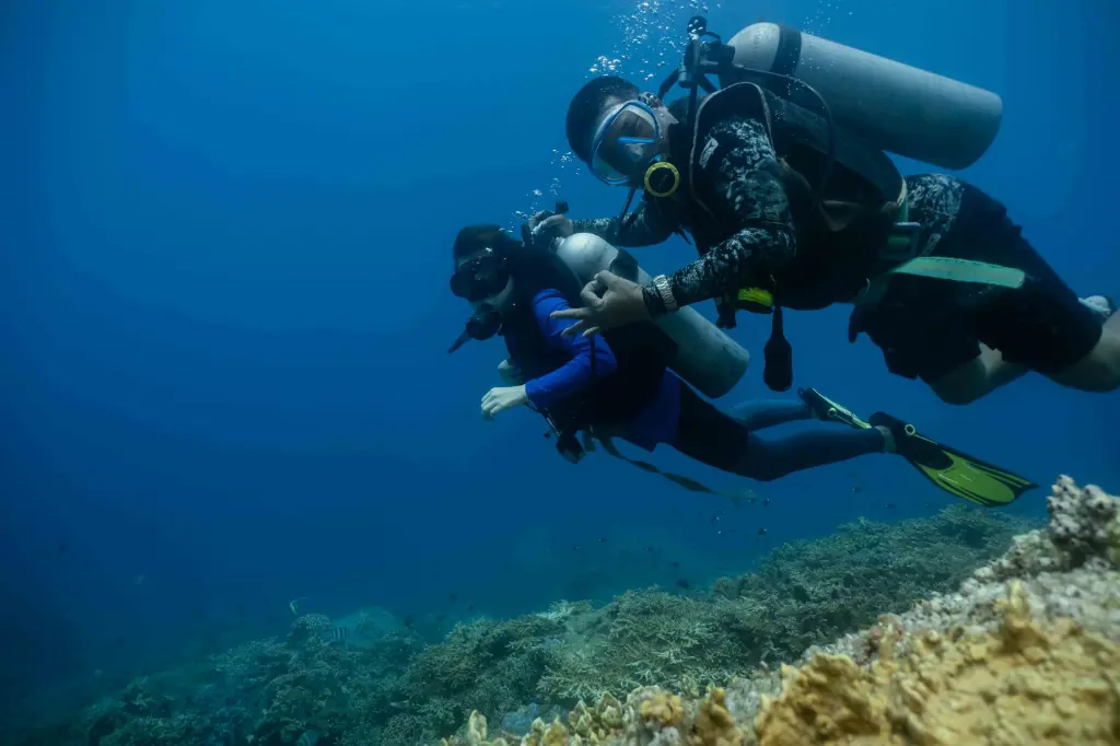 Open Water Diver Course